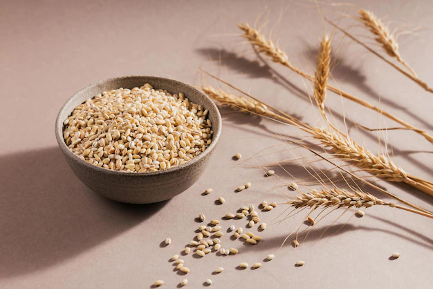 Barley grains in a wooden bowl with loose grains and its branchs